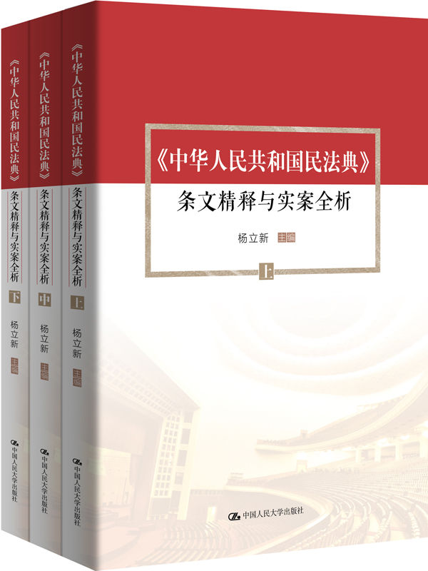 《中华人民共和国民法典》 条文精释与实案全析（上中下）